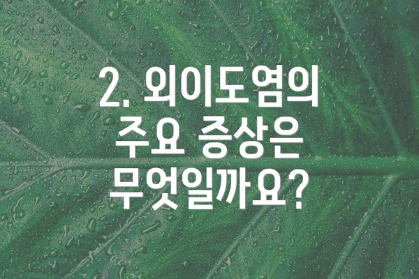 2. 외이도염의 주요 증상은 무엇일까요?