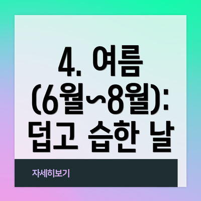 4. 여름 (6월~8월): 덥고 습한 날