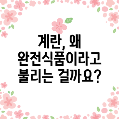 계란, 왜 완전식품이라고 불리는 걸까요?