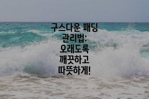 구스다운 패딩 관리법: 오래도록 깨끗하고 따뜻하게!
