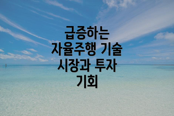 급증하는 자율주행 기술 시장과 투자 기회