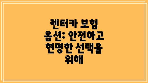 렌터카 보험 옵션: 안전하고 현명한 선택을 위해