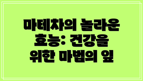 마테차의 놀라운 효능: 건강을 위한 마법의 잎