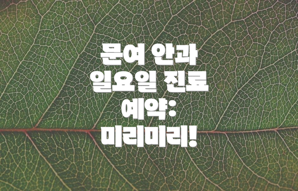 문여 안과 일요일 진료 예약: 미리미리!