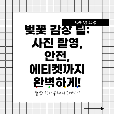 벚꽃 감상 팁: 사진 촬영, 안전, 에티켓까지 완벽하게!