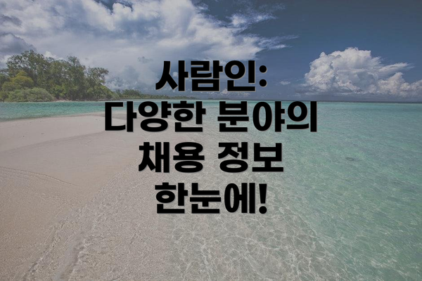 사람인:  다양한 분야의 채용 정보 한눈에!