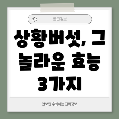 상황버섯, 그 놀라운 효능 3가지