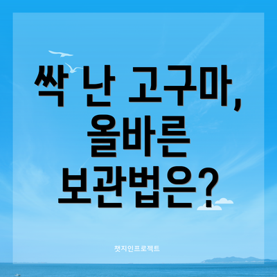 싹 난 고구마,  올바른 보관법은?