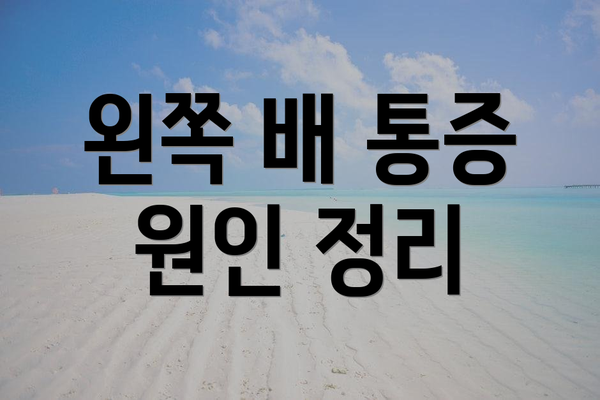 왼쪽 배 통증 원인 정리