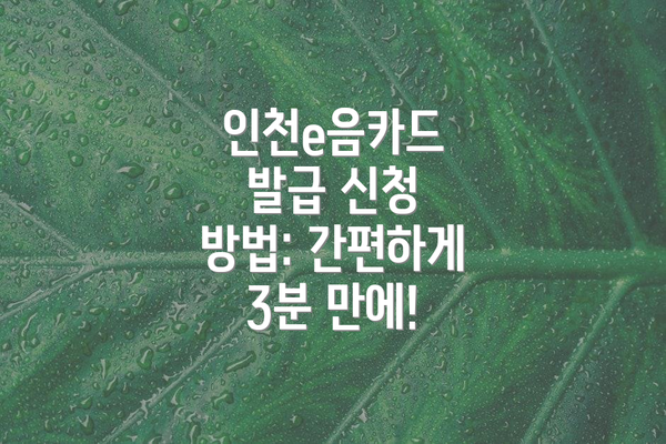 인천e음카드 발급 신청 방법: 간편하게 3분 만에!