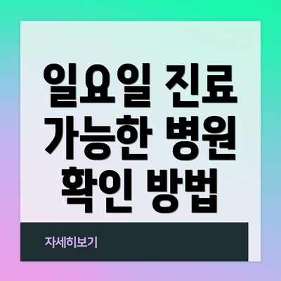 일요일 진료 가능한 병원 확인 방법
