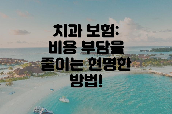 치과 보험:  비용 부담을 줄이는 현명한 방법!