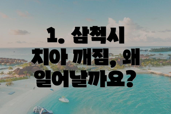 1. 삼척시 치아 깨짐, 왜 일어날까요?