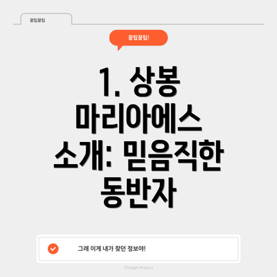1. 상봉 마리아에스 소개: 믿음직한 동반자