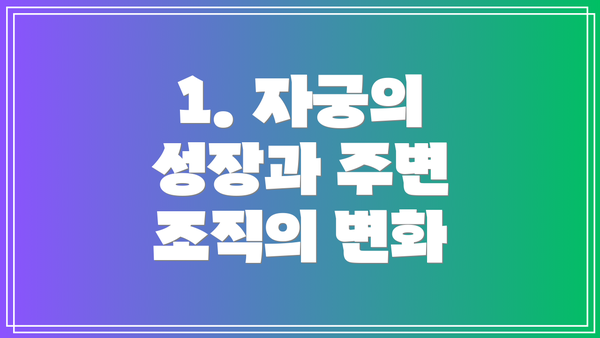 1. 자궁의 성장과 주변 조직의 변화