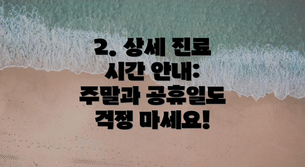 2. 상세 진료 시간 안내:  주말과 공휴일도 걱정 마세요!