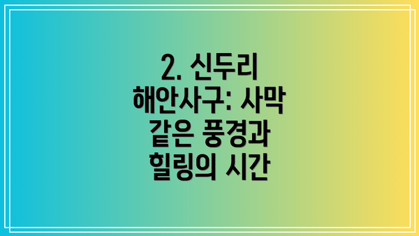 2. 신두리 해안사구: 사막 같은 풍경과 힐링의 시간