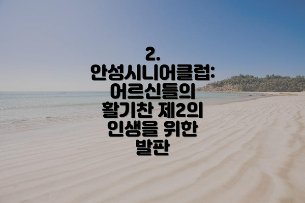 2. 안성시니어클럽: 어르신들의 활기찬 제2의 인생을 위한 발판