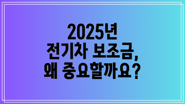 2025년 전기차 보조금, 왜 중요할까요?
