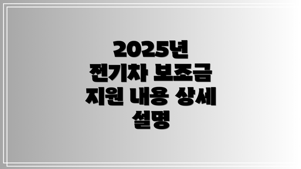 2025년 전기차 보조금 지원 내용 상세 설명