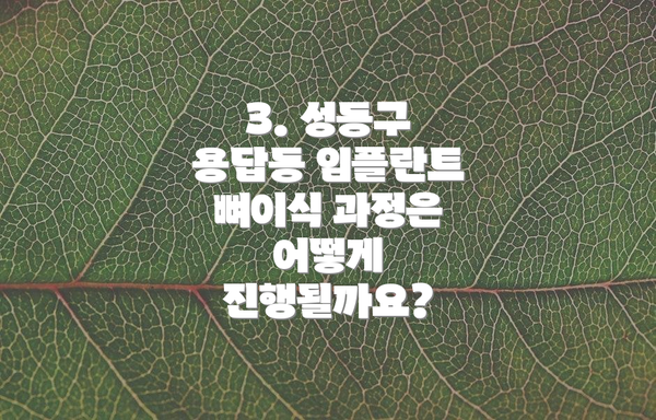 3. 성동구 용답동 임플란트 뼈이식 과정은 어떻게 진행될까요?