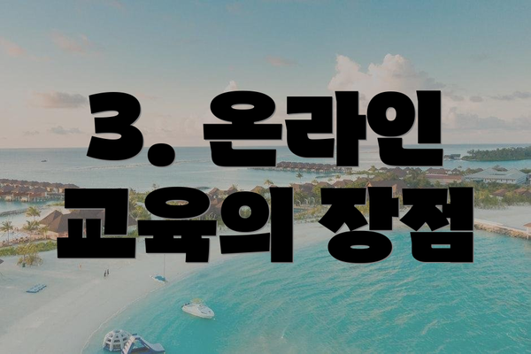 3. 온라인 교육의 장점
