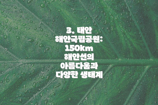 3. 태안 해안국립공원: 150km 해안선의 아름다움과 다양한 생태계