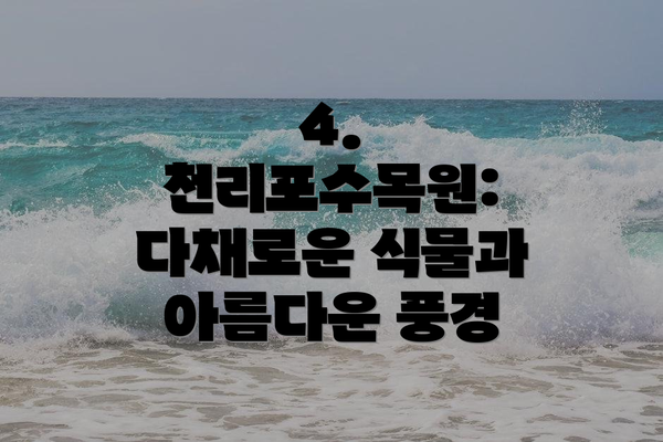 4. 천리포수목원: 다채로운 식물과 아름다운 풍경