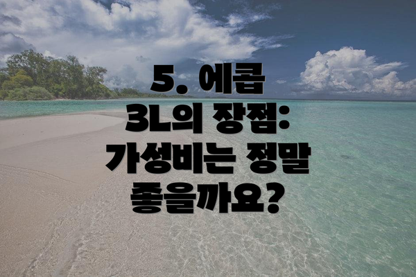 5. 에콥 3L의 장점: 가성비는 정말 좋을까요?