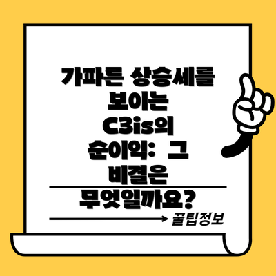 가파른 상승세를 보이는 C3is의 순이익:  그 비결은 무엇일까요?
