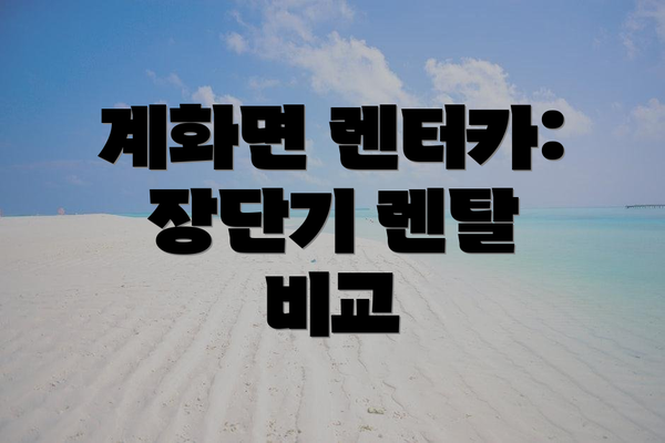 계화면 렌터카: 장단기 렌탈 비교