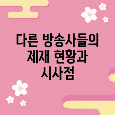 다른 방송사들의 제재 현황과 시사점