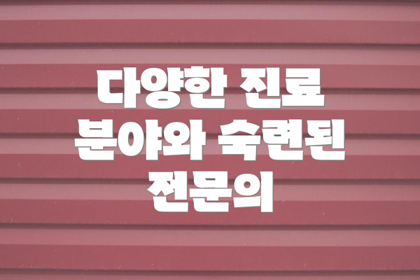 다양한 진료 분야와 숙련된 전문의