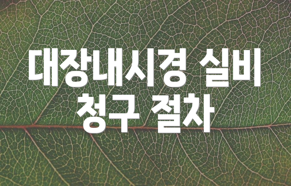 대장내시경 실비 청구 절차