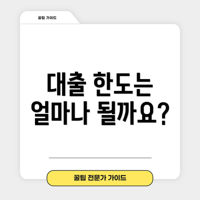 대출 한도는 얼마나 될까요?