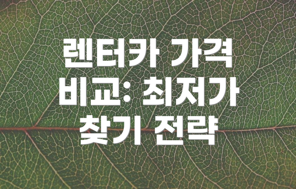 렌터카 가격 비교: 최저가 찾기 전략