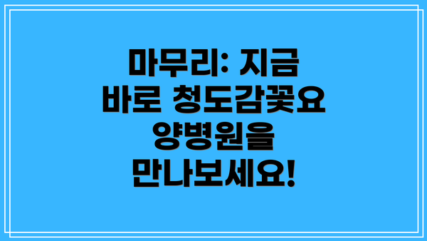 마무리: 지금 바로 청도감꽃요양병원을 만나보세요!