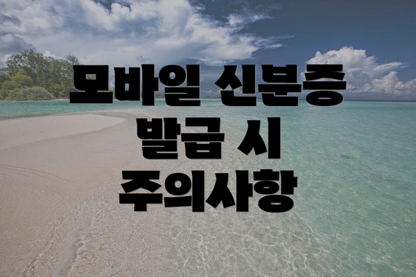 모바일 신분증 발급 시 주의사항