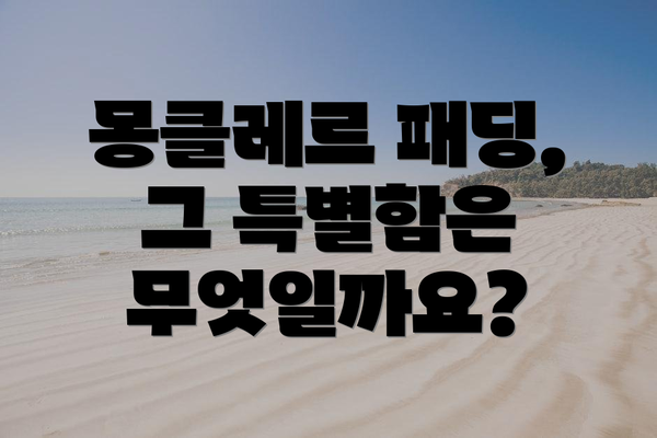 몽클레르 패딩, 그 특별함은 무엇일까요?