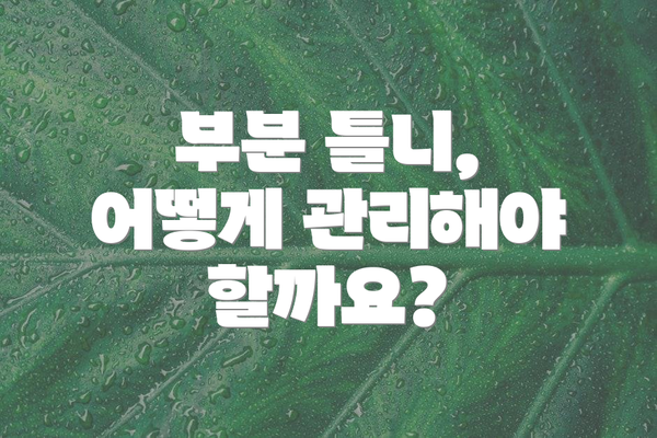 부분 틀니, 어떻게 관리해야 할까요?