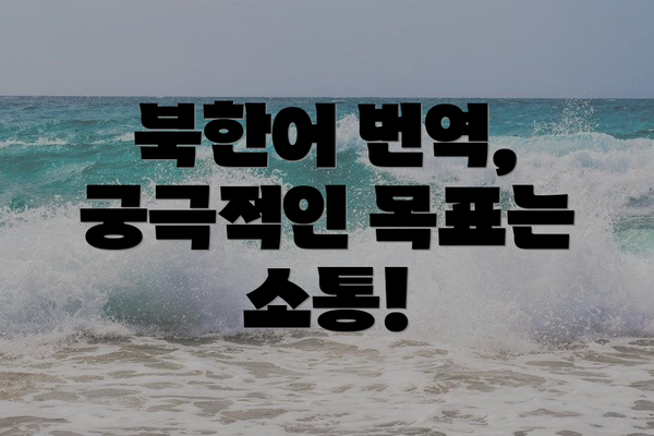 북한어 번역, 궁극적인 목표는 소통!