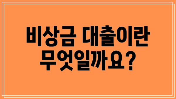 비상금 대출이란 무엇일까요?