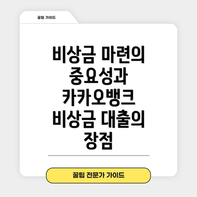 비상금 마련의 중요성과 카카오뱅크 비상금 대출의 장점