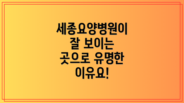 세종요양병원이 잘 보이는 곳으로 유명한 이유요!