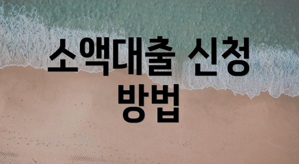 소액대출 신청 방법
