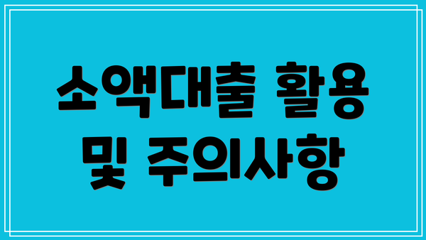 소액대출 활용 및 주의사항