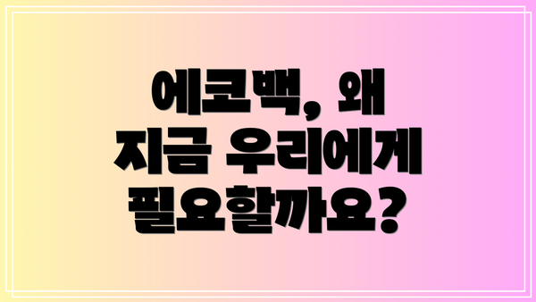 에코백, 왜 지금 우리에게 필요할까요?