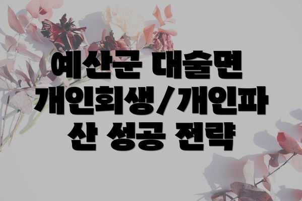 예산군 대술면 개인회생/개인파산 성공 전략