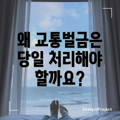 왜 교통벌금은 당일 처리해야 할까요?