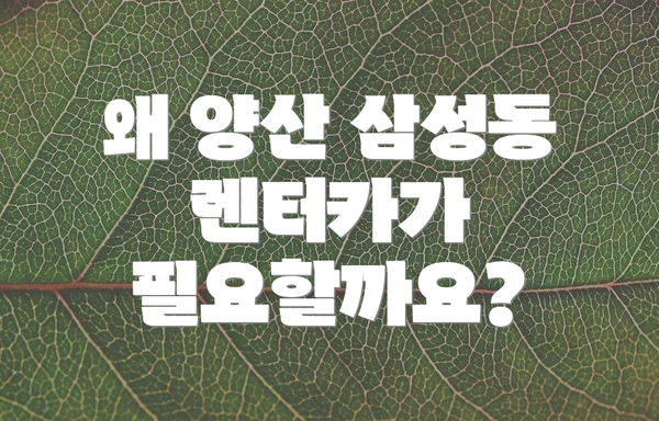 왜 양산 삼성동 렌터카가 필요할까요?